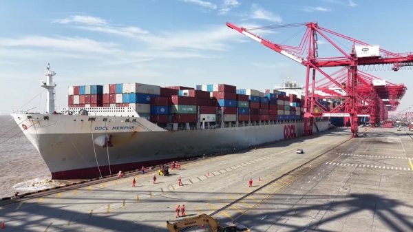 门户网配资 秘鲁用牛油果蓝莓换中国好车，钱凯—上海港“双向奔赴”货值破50亿